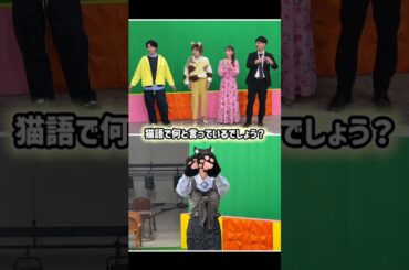 『今夜決定！かわいいニャングランプリ〜ＢＳテレ東×CREA コラボ〜』2/22(日)夕方6時から放送🐈