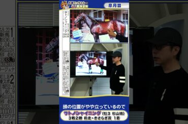 【2025年 皐月賞】すごい光沢 サトノシャイニング馬体診断　 #shorts #競馬 #予想
