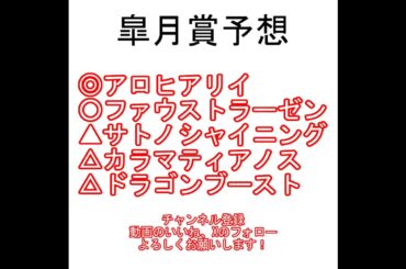 皐月賞2025 AI予想