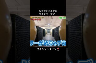 ルクセンブルクにあるワイナリーのツアーに参加してみた #travel #旅行 #海外一人旅 #vlog #ルクセンブルク