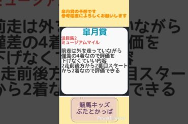 皐月賞予想#競馬#競馬予想#皐月賞#ミュージアムマイル