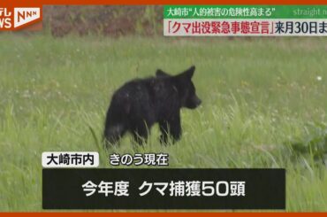 クマによる人的被害の危険性高まる…市独自の『クマ出没緊急事態宣言』発令（宮城・大崎市）