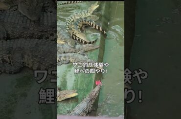ホーチミンから約2時間。メコンデルタで舟遊びや伝統音楽、動物とのふれあい体験。自然と文化を一度に楽しめる人気ツアー。