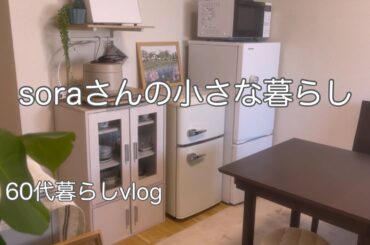 《ひとりと3匹の気ままな暮らし》引っ越しました/新しい部屋で暮らしを整える/犬を迎えるために　　#ひとり暮らし  #暮らしvlog