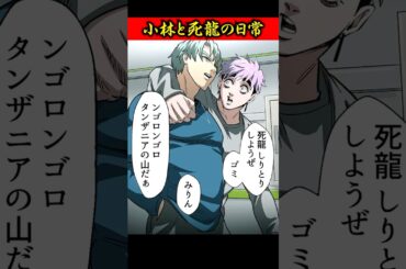小林と死龍の日常