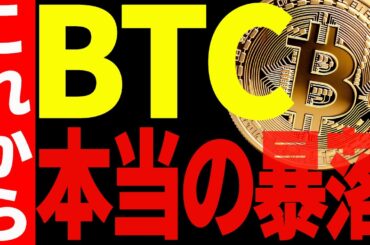 ⚠️ビットコインの本当の暴落はこれから⁉⚠️私の見解はズバリ○○です！【仮想通貨】