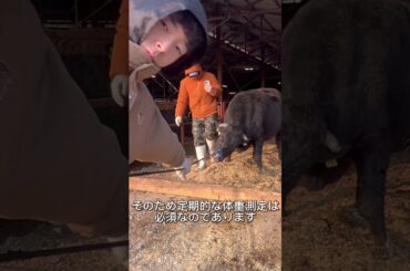 優香くんがお肉になるまで【残り8ヶ月】