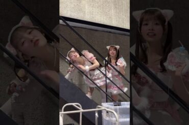 にゃんこるね＆ぴあにゃん #のんふぃく