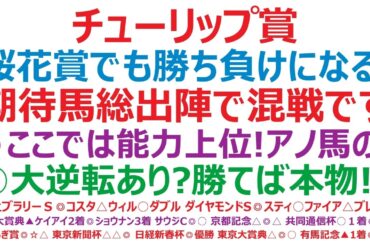 チューリップ賞2026予想　桜花賞でも勝ち負けになる！期待馬総出陣で混戦です。◎ここでは能力上位！アノ馬の！○大逆転あり！？勝てば本物です。