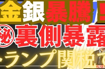 【2/24速報】金銀爆騰！トランプ関税とその裏側を完全暴露！中間選挙と401kが握る今後の米国株シナリオ