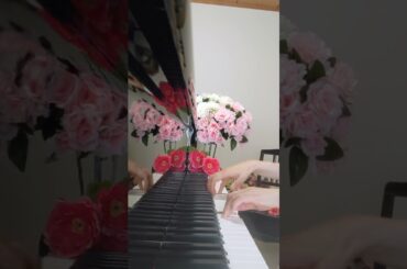 S879*バッハ・平均律第1巻第1番・プレリュード・アヴェ・マリア/J.S.Bach＃バッハ＝グノー＃アヴェマリア＃前高校音楽教師ピアニストマユミージュことMayumi