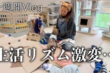 【年の差夫婦】新しい職場で生活リズム激変…体を整える一週間Vlog