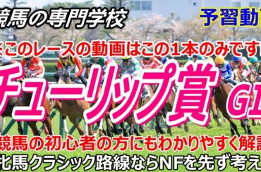 【チューリップ賞2026】予習動画 馬券の軸はこの馬から 狙ってみたい馬ほか【競馬の初心者の方にもわかりやすく解説】