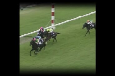 大逃げの怖さ #競馬 #天皇賞春 #横山典弘