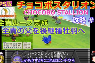 【チョコボスタリオン】PS版 攻略 #8【牝羽全青ループ完成!!】全青牡羽が出たタイミングで後継種牡羽化へ