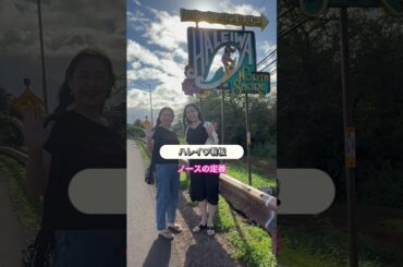 【ハワイ】どこでもプライベートツアー・12月31日 U様＃カワイイハワイツアー ＃ハワイツアー ＃ワイキキ ＃アウラニ