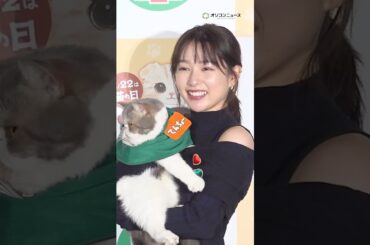 桜井日奈子、“シゴデキ”猫店長に感動！？#shorts #桜井日奈子 #猫