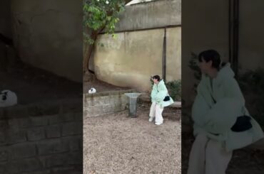 猫扱いすると、つれない素ぶり。 のん