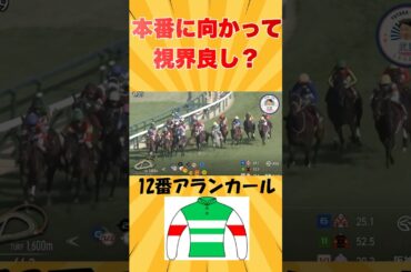 本番はチャンスあり！？武豊とアランカール