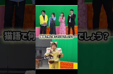 『今夜決定！かわいいニャングランプリ〜ＢＳテレ東×CREA コラボ〜』2/22(日)夕方6時から放送🐈