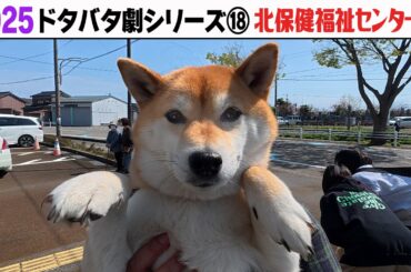 2025狂犬病予防注射会場のドタバタ劇⑱ 北保健福祉センター編