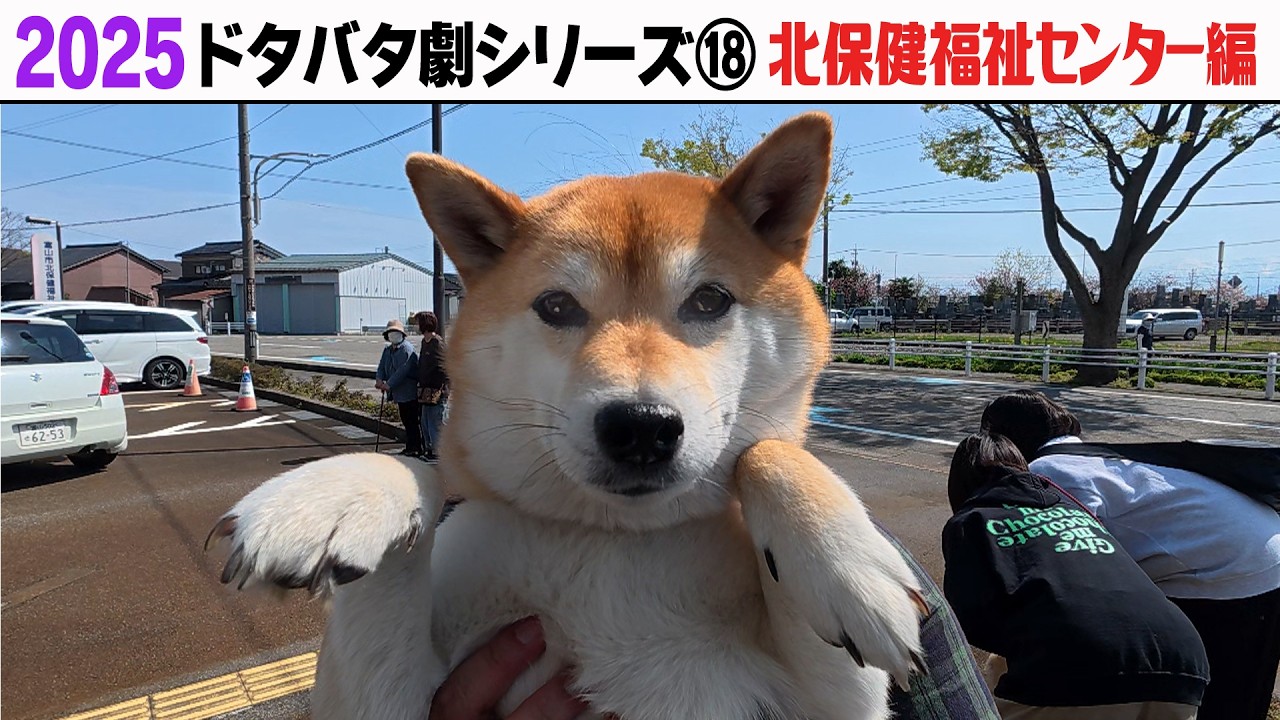 2025狂犬病予防注射会場のドタバタ劇⑱ 北保健福祉センター編 2025狂犬病予防注射会場のドタバタ劇⑱ 北保健福祉センター編