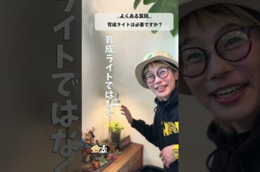 植物育成ライトは必要ですか？　#観葉植物 #園芸 #花森家