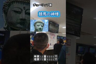 軍資金1万で単複勝、勝負！ 果してその結果は？！2026年3月2日 チューリップ賞(桜花賞トライアル)