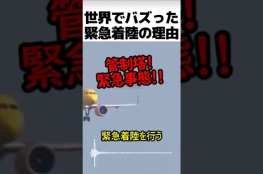 世界でバズった緊急着陸をした理由