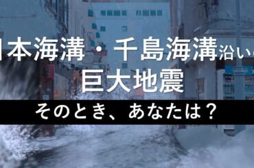 日本海溝・千島海溝沿いの巨大地震による被害想定と積雪寒冷を踏まえた避難対策（内閣府防災）