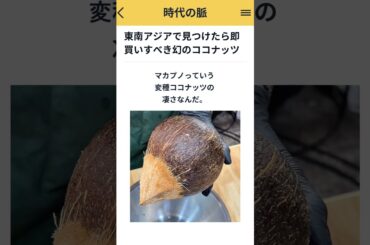 天然のゼリーが詰まった驚きの変異種