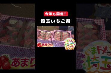 #あまりん#かおりん#べにたま#いちご#イチゴ#苺#埼玉いちご祭#埼玉いちご#埼スタ#グルメ#スイーツ#デザート#いちご狩り#観光農園#松井咲子#アンゴラ村長#カナイ#いまたま#埼玉県#shorts