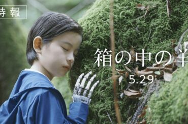 映画『箱の中の羊』特報予告映像【5月29日（金）全国公開】