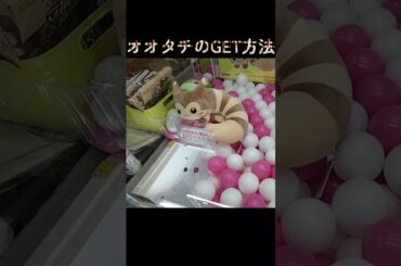 #クレーンゲーム #攻略 #ポケモン30周年 #ポケモン #オオタチ