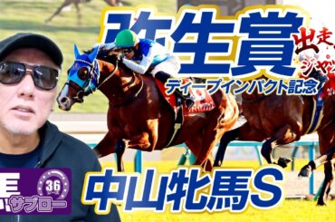 【2026 弥生賞ディープインパクト記念】出走馬ジャッジ