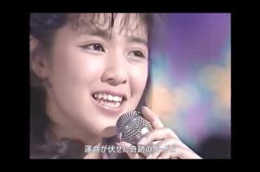 アイドルを探せ 6  菊池桃子