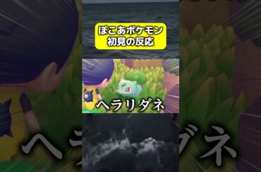 NTRダネ【ぽこあポケモン】【めざせポケモンマスター】【松本梨香】【ゲーム実況】【切り抜き】