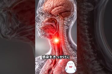 【高齢者は必ず接種を】2025/26最新コロナワクチンの効果と副反応｜命を守る年1回の接種