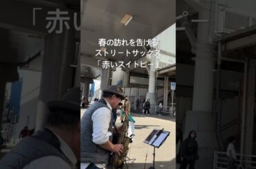 赤いスイトピー〜松田聖子を演奏するストリートサックス