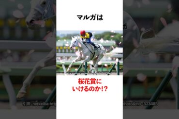マルガは桜花賞に行けるのか？
