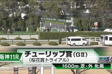 阪神11R 第33回チューリップ賞（GⅡ） 〈桜花賞トライアル〉