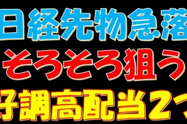 日経平均先物急落！そろそろ狙う好調高配当株２つ