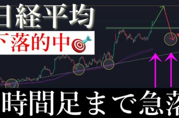 ⚠️「的中🎯」トレンド崩壊！5000円以上暴落する。日経平均株価/Ni225