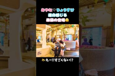 【今日好き】タイミング良すぎる黒猫の登場🥺💖  #今日好き #卒業編 #卒業編2026 #りょうすけ #あやな