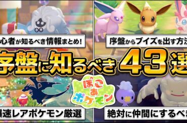 【ぽこあポケモン】初心者が知るべき攻略情報43選。爆速で厳選、絶対仲間にするべきポケモン、生息地、環境レベル（すみごこち）、イーブイ、ヤドン