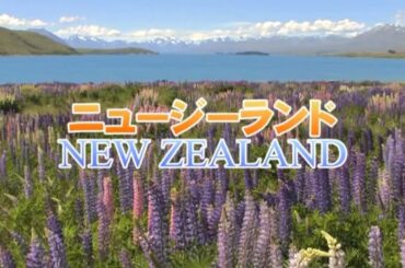 阪急交通社ニュージーランド　ツアー紹介