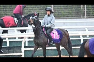 【チューリップ賞・コメントのツボ】アランカール「結果を出して桜花賞に」　ナムラコスモス「牝馬同士なら」