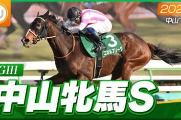 【レース映像】中山11R 中山牝馬ステークス｜エセルフリーダ（武藤雅）｜ウイニング競馬
