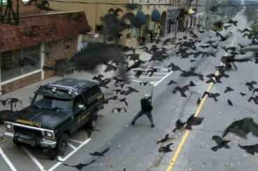 Kaw | フルムービー日本語吹き替え版 | 空からの襲撃