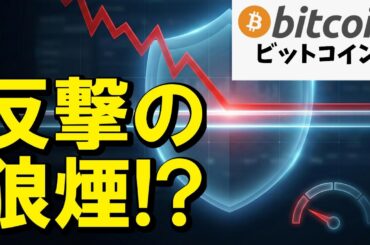 【仮想通貨 ビットコイン】反撃の狼煙！？ 大衆が恐怖で震える中、クジラが静かに仕込む「次なるお宝」（朝活2092）